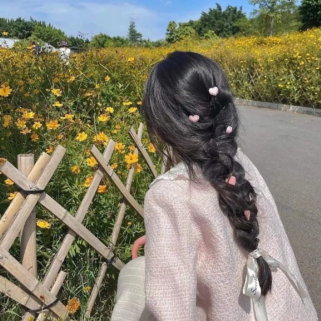 天机十二宫第一季